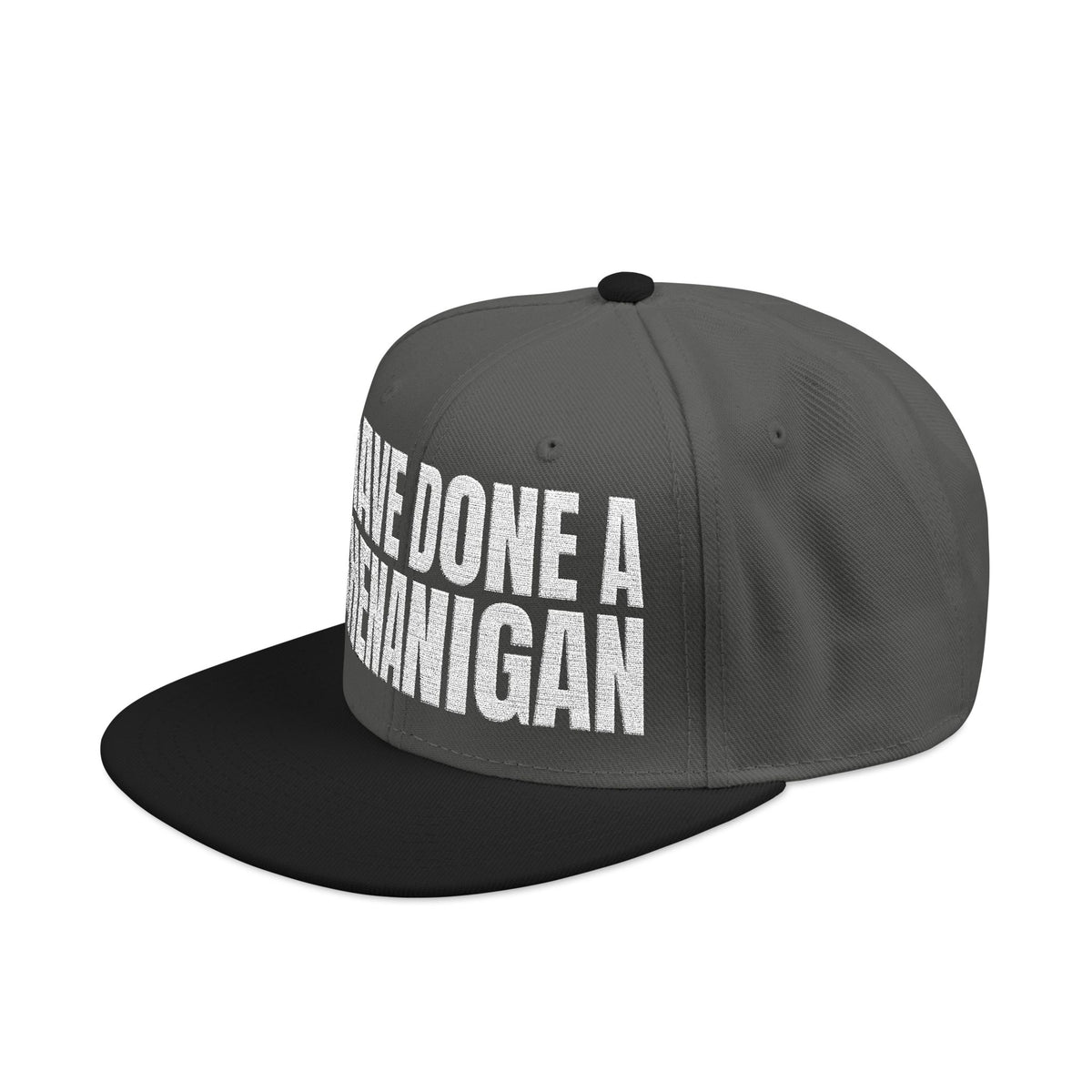 I Have Done A Shenanigan - Snapback