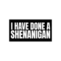 I Have Done a Shenanigan - Bumper Sticker