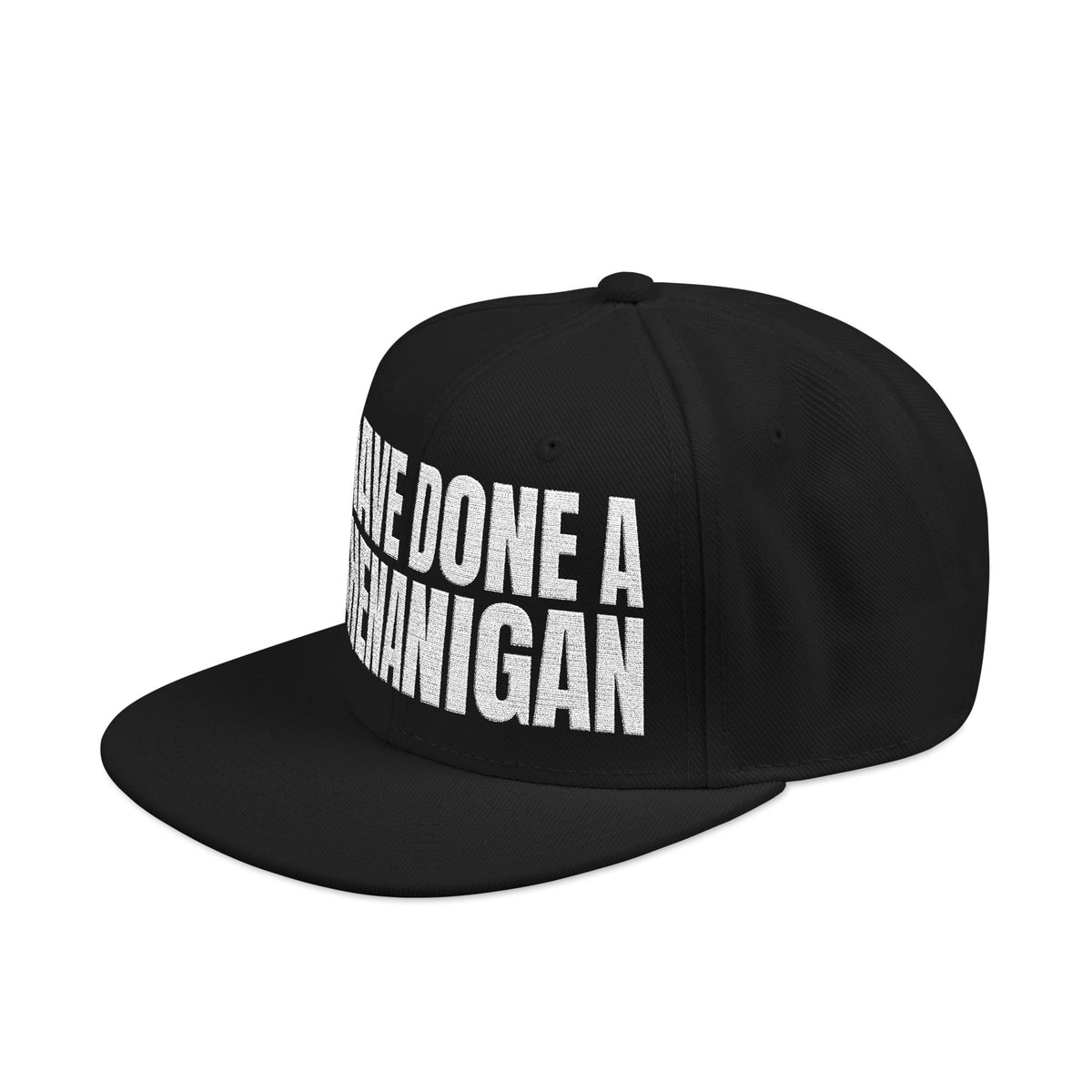 I Have Done A Shenanigan - Snapback