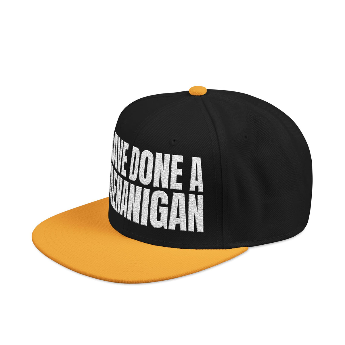 I Have Done A Shenanigan - Snapback